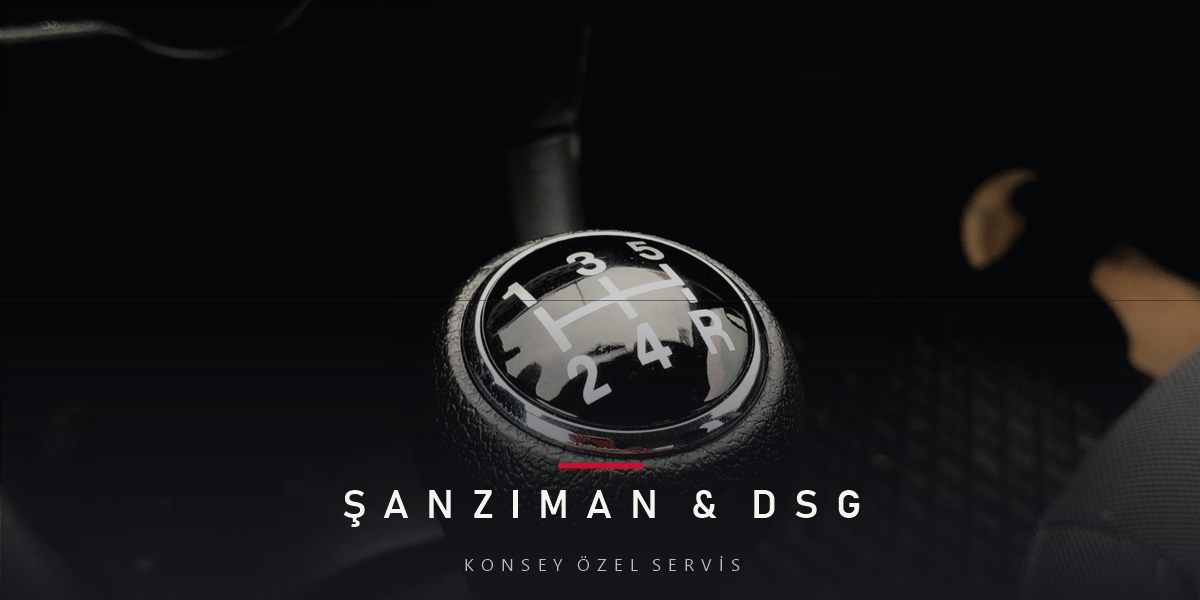 DSG bakım fiyatı ve işlem kapsamı